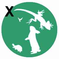 Animal En X Voici Les Especes Commencant Avec La Lettre X